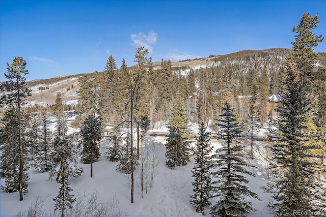 property view of mountains