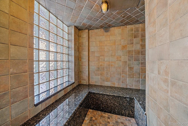 bathroom with plenty of natural light