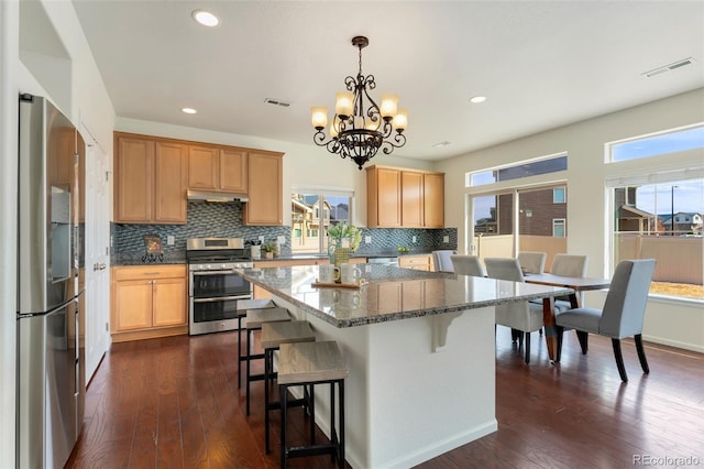 kitchen with a wealth of natural light, under cabinet range hood, decorative backsplash, and appliances with stainless steel finishes