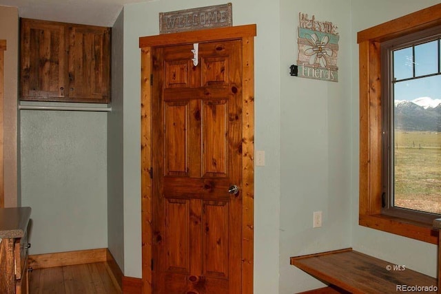 entrance foyer with hardwood / wood-style flooring and a wealth of natural light