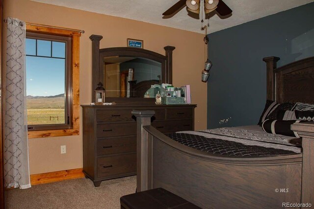 3850 County Road 129, Westcliffe, CO 81252 - photo 11