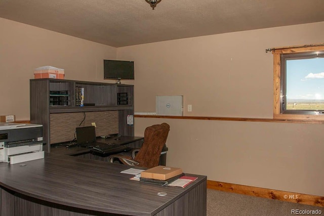 office area featuring carpet flooring