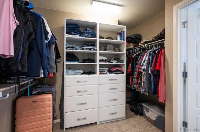 walk in closet with light carpet