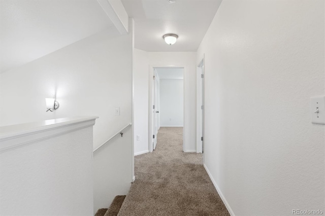 719 Elk Mountain Dr, Severance, CO 80550 - corridor featuring carpet floors and baseboards