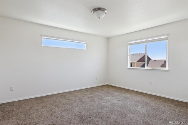 719 Elk Mountain Dr, Severance, CO 80550 - unfurnished room featuring carpet flooring and baseboards