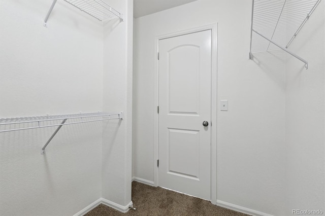 719 Elk Mountain Dr, Severance, CO 80550 - walk in closet featuring dark colored carpet