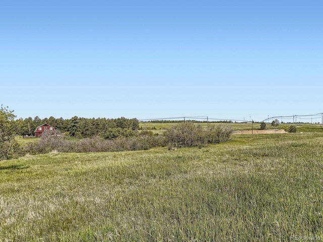 104 Bill Davis Rd, Franktown, CO 80116 - photo 9