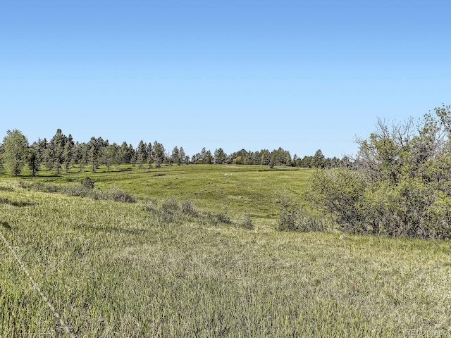 104 Bill Davis Rd, Franktown, CO 80116 - photo 10