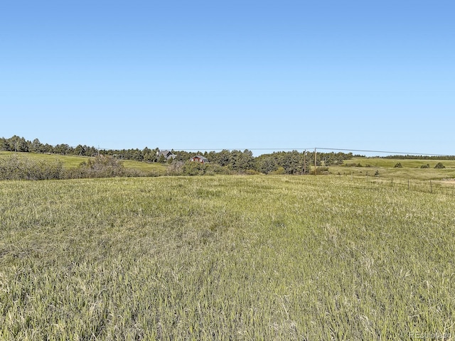 104 Bill Davis Rd, Franktown, CO 80116 - photo 12