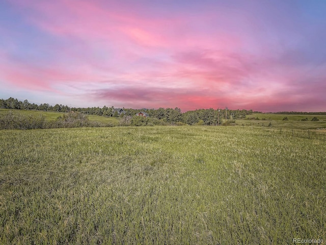 104 Bill Davis Rd, Franktown, CO 80116 - photo 14