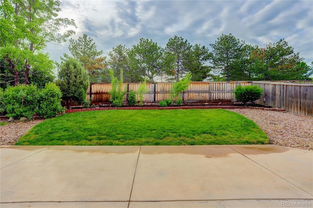 15828 Greenstone Ln, Parker, CO 80134 - view of yard featuring a patio area