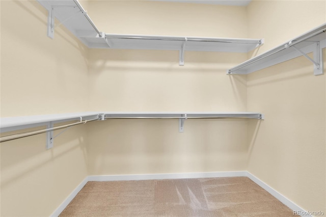 5154 Taft Ct, Wheat Ridge, CO 80033 - spacious closet with carpet floors
