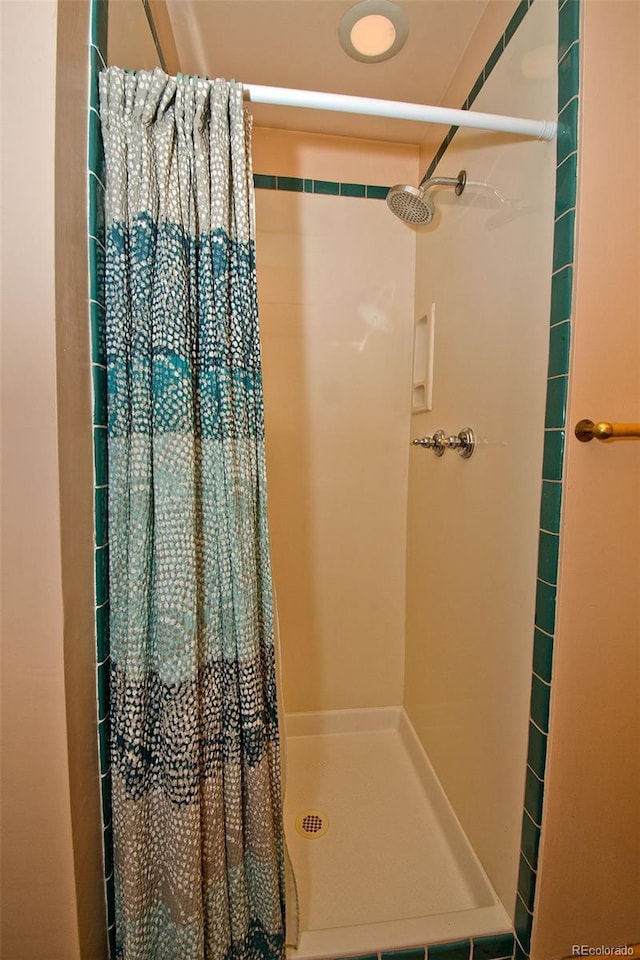 1507 Wagon Wheel Rd, Crestone, CO 81131 - full bath with a stall shower