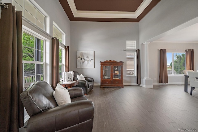 11691 Riverdale Dr, Parker, CO 80138 - living room with ornate columns, a high ceiling, wood finished floors, and a tray ceiling