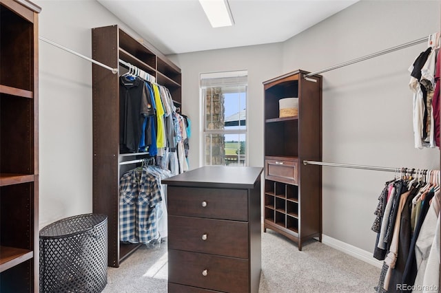 3048 Deer Creek Ranch Loop, Parker, CO 80138 - walk in closet with light colored carpet