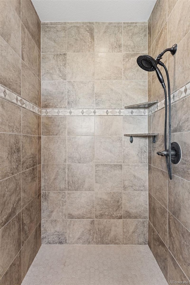 3048 Deer Creek Ranch Loop, Parker, CO 80138 - bathroom with tiled shower