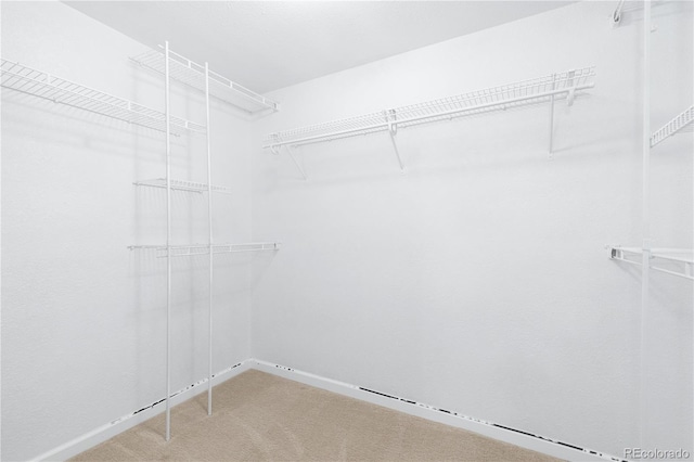 walk in closet with carpet