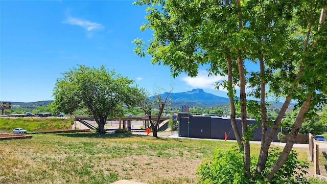 1205 N Linden Ave, Trinidad, CO 81082 - view of yard with a mountain view
