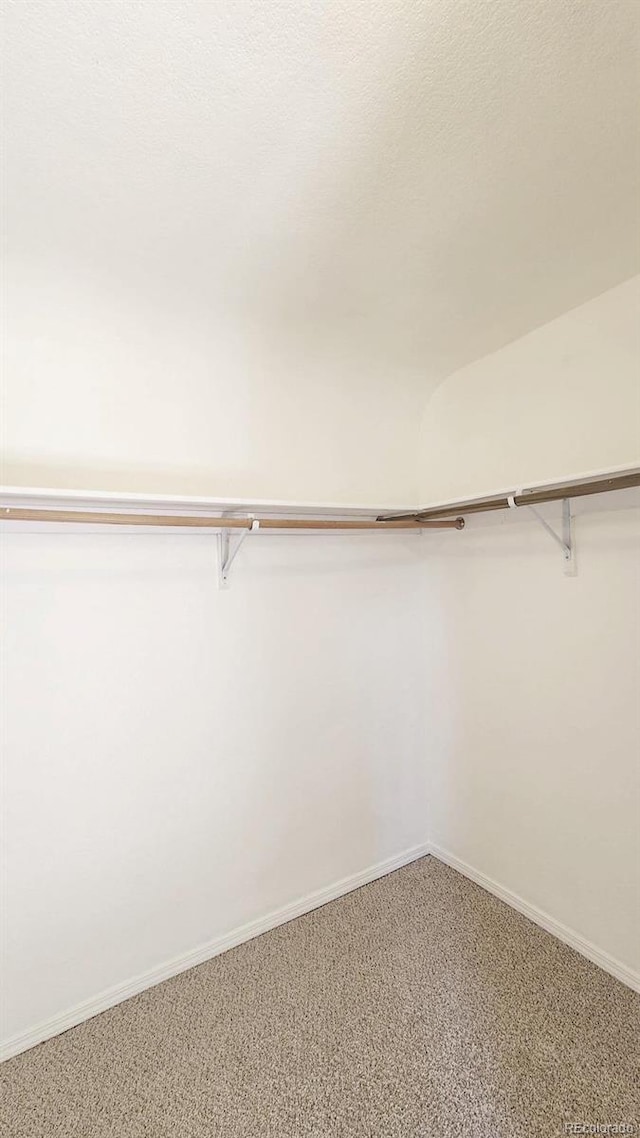 1205 N Linden Ave, Trinidad, CO 81082 - walk in closet featuring light colored carpet