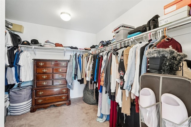 spacious closet featuring light colored carpet