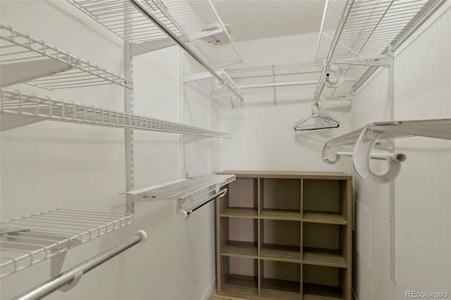 walk in closet featuring hardwood / wood-style flooring