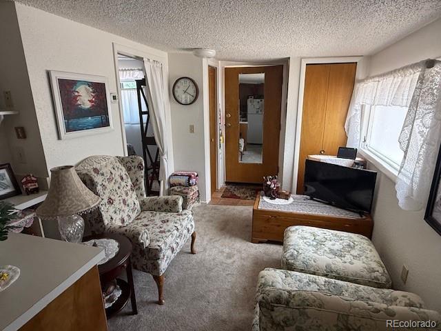 3262 N Wolff St, Denver, CO 80212 - photo 22