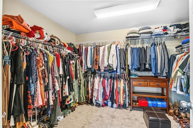 14119 W 89th Loop, Arvada, CO 80005 - walk in closet featuring carpet