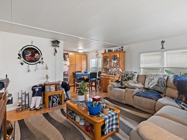 living room with a textured ceiling and hardwood / wood-style flooring