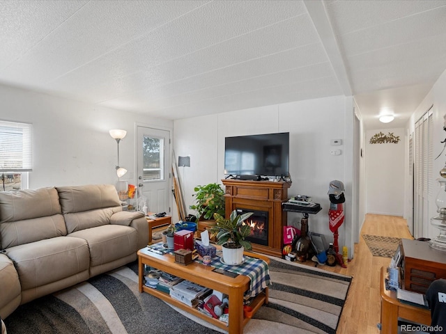 living room with wood-type flooring