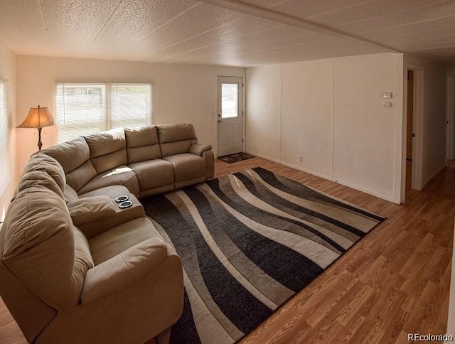 living room featuring light wood-type flooring and a textured ceiling