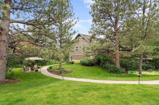 1122 Forest Trails Dr, Castle Pines, CO 80108 - view of green lawn