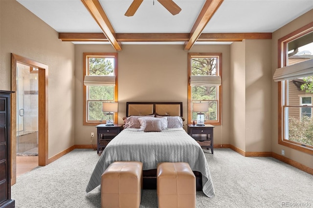 1122 Forest Trails Dr, Castle Pines, CO 80108 - carpeted bedroom featuring beamed ceiling, multiple windows, ensuite bathroom, and a ceiling fan