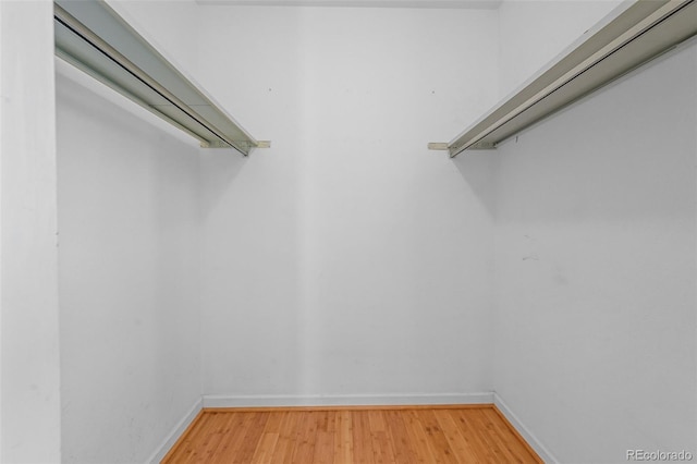 7486 S Washington St, Centennial, CO 80122 - walk in closet with light wood-type flooring