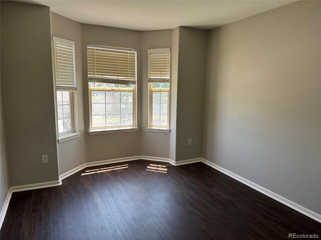 1251 N Burlington Dr, Castle Rock, CO 80104 - photo 13