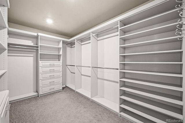 18221 House Finch Ln, Parker, CO 80134 - photo 28