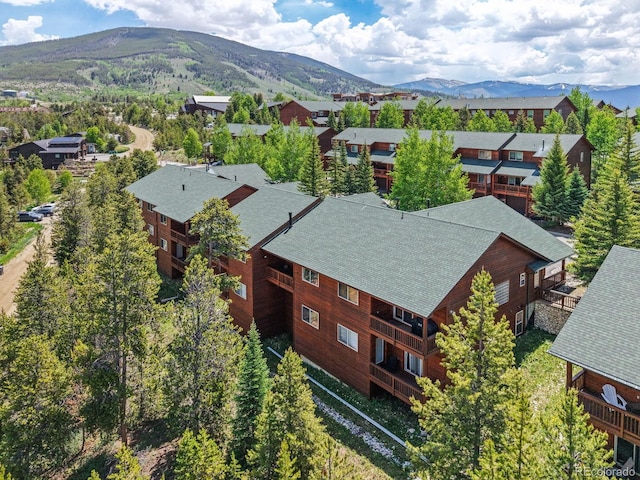 113 Lookout Ridge Dr, Dillon, CO 80435 - photo 34