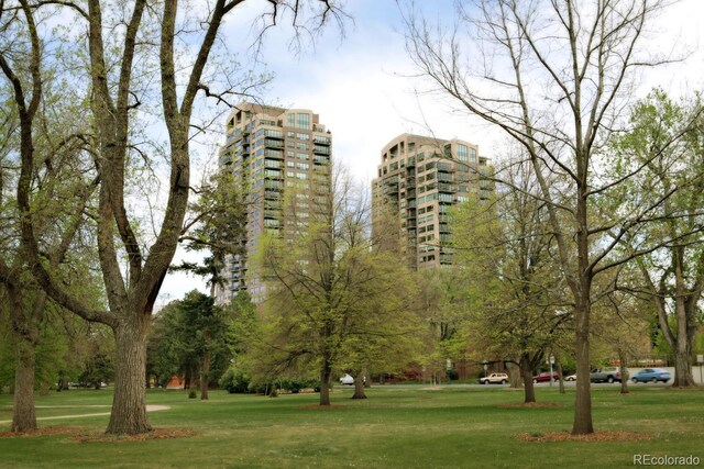 view of home's community featuring a yard