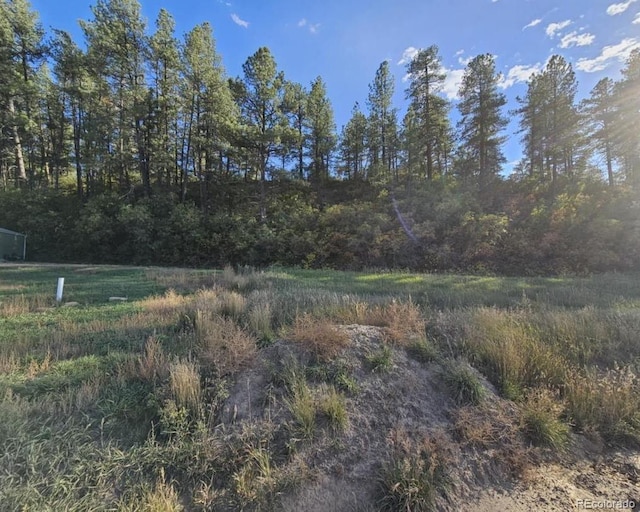 Listing photo 3 for 267 River Run Dr, Pagosa Springs CO 81147