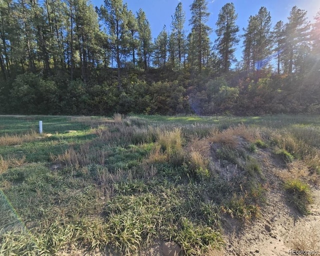 267 River Run Dr, Pagosa Springs CO, 81147 land for sale