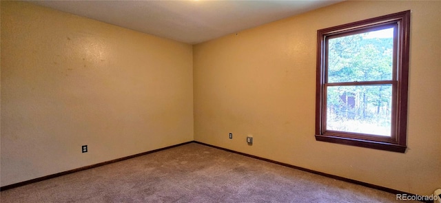 18170 Forest View Rd, Monument, CO 80132 - empty room featuring carpet flooring and baseboards