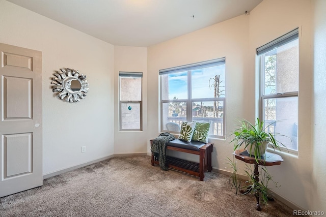 interior space featuring carpet flooring