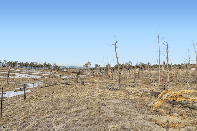 view of yard with a rural view