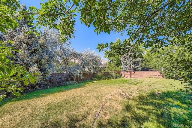 1130 Southbury Pl, Highlands Ranch, CO 80129 - photo 47