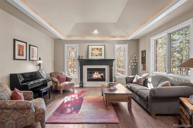 living room featuring a tray ceiling, a glass covered fireplace, and wood finished floors