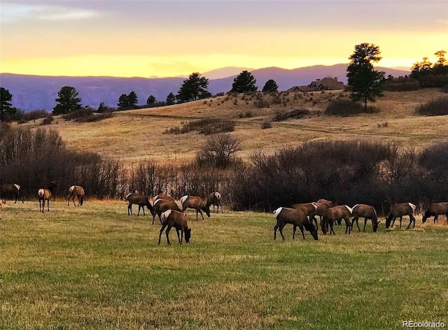 view of home's community featuring a lawn and a rural view