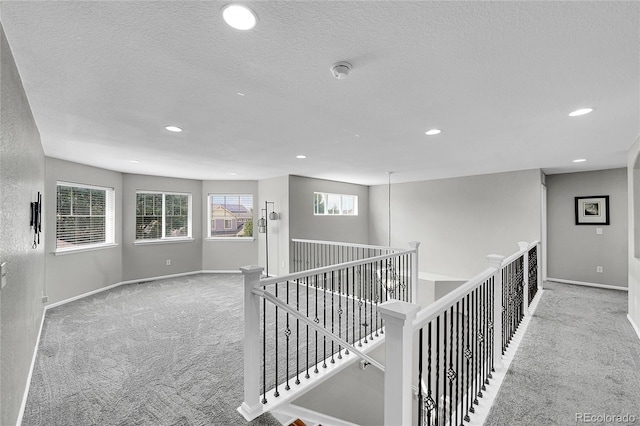 10748 Troy St, Commerce City, CO 80022 - photo 21