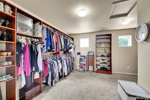 10748 Troy St, Commerce City, CO 80022 - photo 28