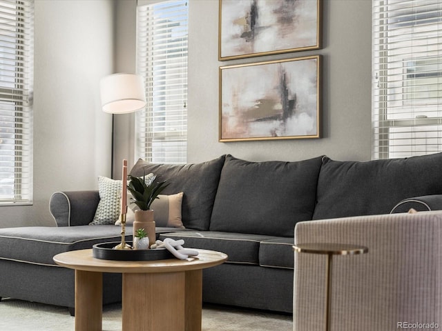 living area with plenty of natural light