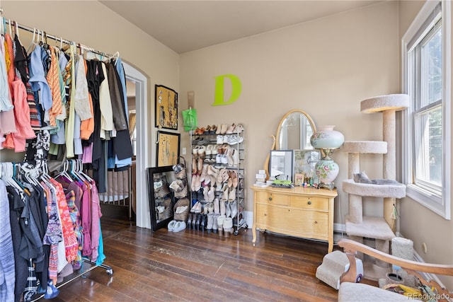 256 Bannock St, Denver, CO 80223 - walk in closet with hardwood / wood-style flooring