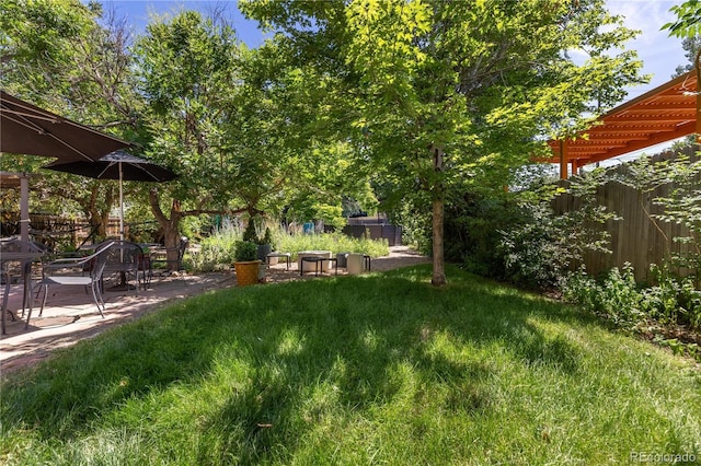 256 Bannock St, Denver, CO 80223 - view of yard with a patio
